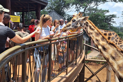 Nationalpark, Giraffenzentrum und Elefantenbaby in Nairobi