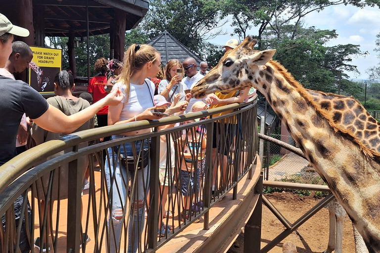 Nationalpark, Giraffenzentrum und Elefantenbaby in Nairobi