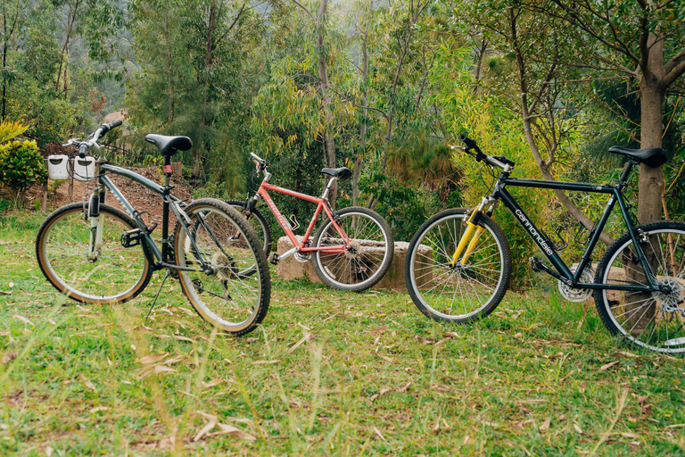 Bike tour and senic view