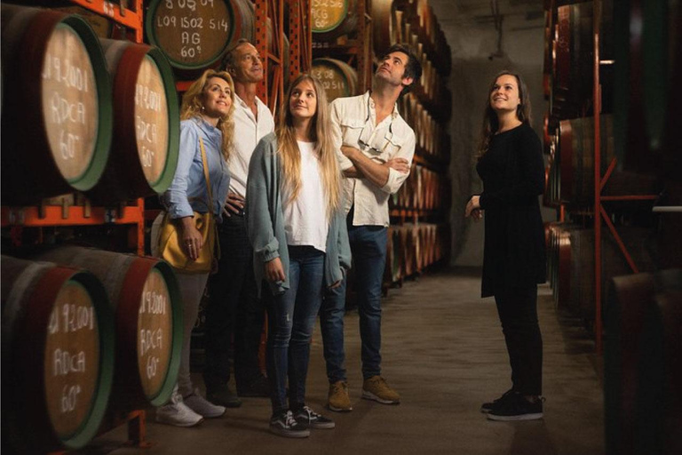 Visite guidée de la distillerie Ron ArehucasVisite guidée en allemand