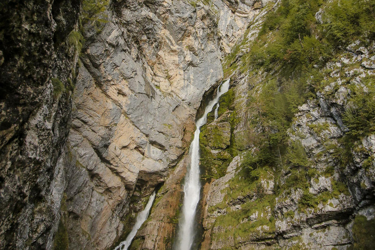 From Ljubljana: Bled and Bohinj Day Trip