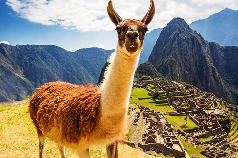 From Cusco: Machu Picchu Tour 1-Day by Train + Almuerzo Cusco: Machu Picchu Tour 1-Day by Train + Almuerzo