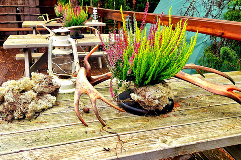 Helsinki: Buggy Ride, Reindeer Farm Visit, and Picnic