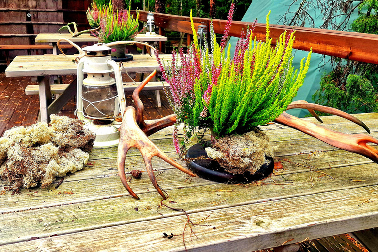 Helsinki: Buggy Ride, Reindeer Farm Visit, and Picnic