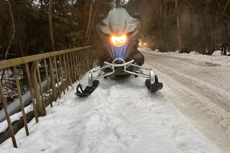 From Bucharest: Private Snowmobile Adventure & Castles Tour
