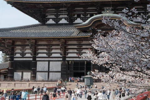 大阪和奈良私人定制导览游大阪和奈良专属私人定制导览游