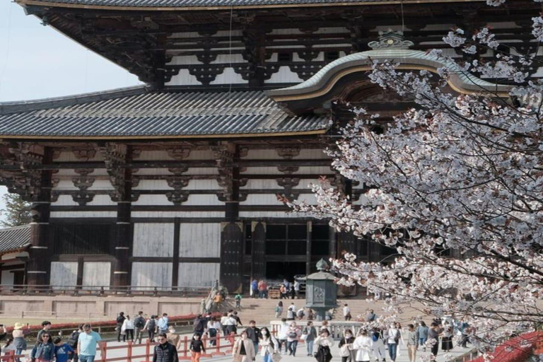 大阪和奈良私人定制导览游大阪和奈良专属私人定制导览游