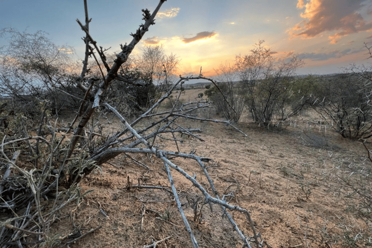 Half-Day Desert Walking Tour in Jodhpur Rajasthan With Sumer