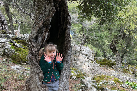 Kreta: Sarakina-Schlucht, Wälder und Südküsten-Safari