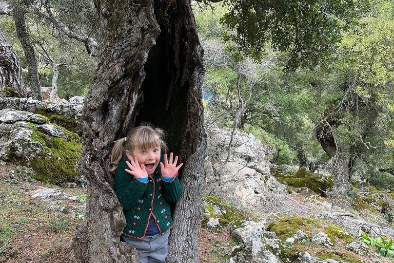Kreta: Sarakina-Schlucht, Wälder und Südküsten-Safari