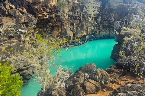 3 unglaubliche Ganztagestouren auf dem Galapagos-Archipel