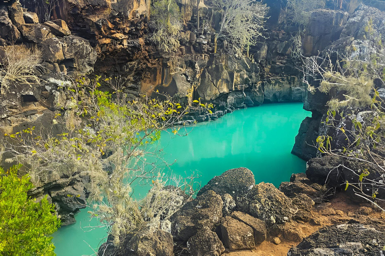 3 otroliga dagsutflykter i Galapagos skärgård