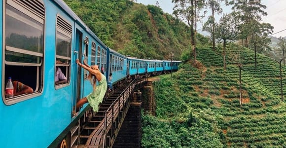 From Riu Hotel: Ella Tea Factory Tour with Scenic Train Ride