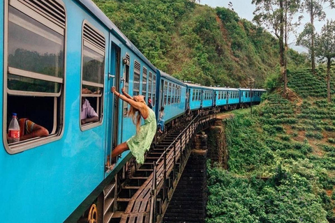 From Riu Hotel: Ella Tea Factory Tour with Scenic Train Ride