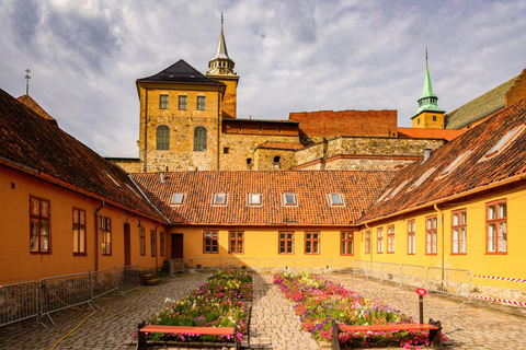 Oslo Old Town Highlights Private Guided Walking Tour 4-hour: Old Town, Oslo Cathedral & National Museum Tour