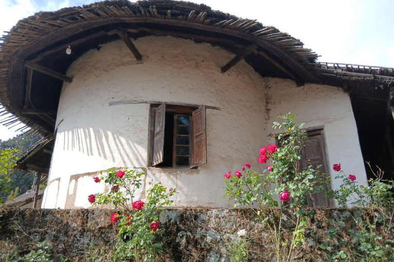 Addis Ababa: Guided City Highlights Tour in English & French