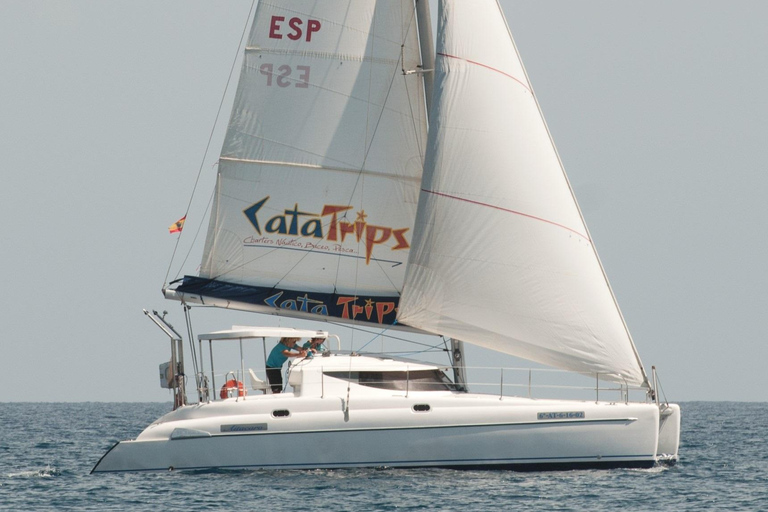 Fuerteventura: Catamarán navegación a vela y delfines.
