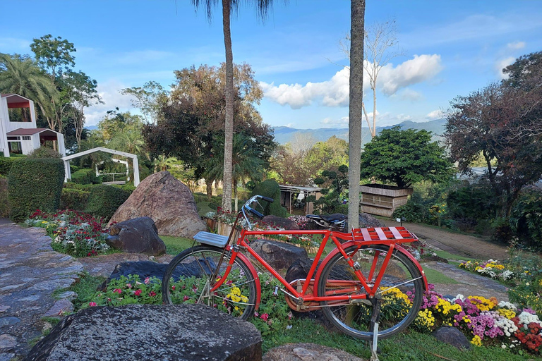 Chiang Rai: Mountains Discovery Doi Mae Salong & Doi Tung Mountains Discovery:Doi Mae Salong & Doi Tung (Private Tour)