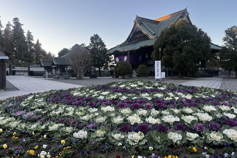 Da Narita: Tour storico di Narita e Sawara con crociera in barca