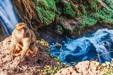 Desde Marrakech: senderismo y barco a las cascadas de OuzoudTour privado en francés