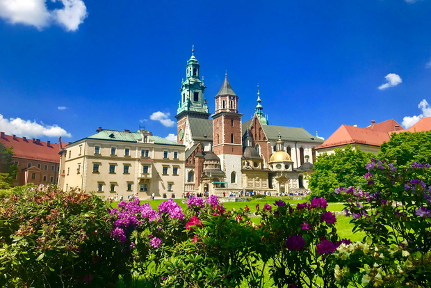Cracovia: Cattedrale del Wawel e Collina Reale: tour a piedi