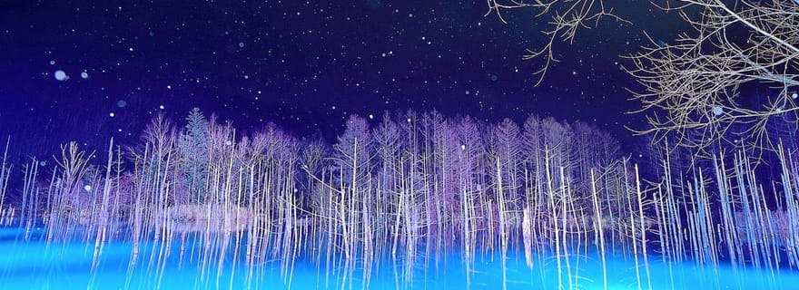 Sapporo : visite d'une journée des 5 sites incontournables de Biei (départ tardif)