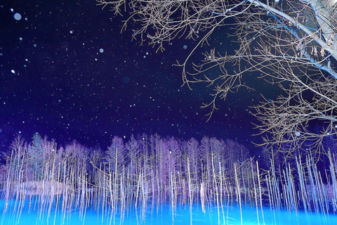 Sapporo: Hokkaido Biei Best 5 Photo Spots Day Tour Shared Tour, Meet at Odori Station