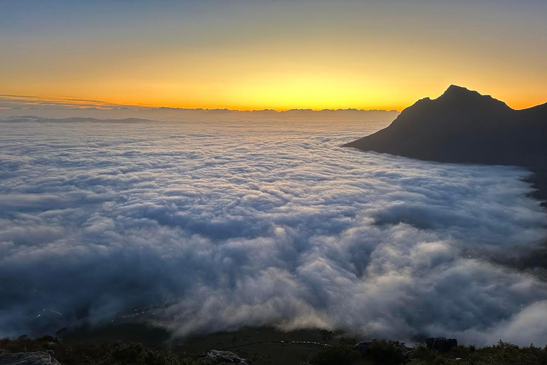 Cape Town: Guided Lion's Head Hike at Sunrise or Sunset Sunrise Hike from Meeting Point