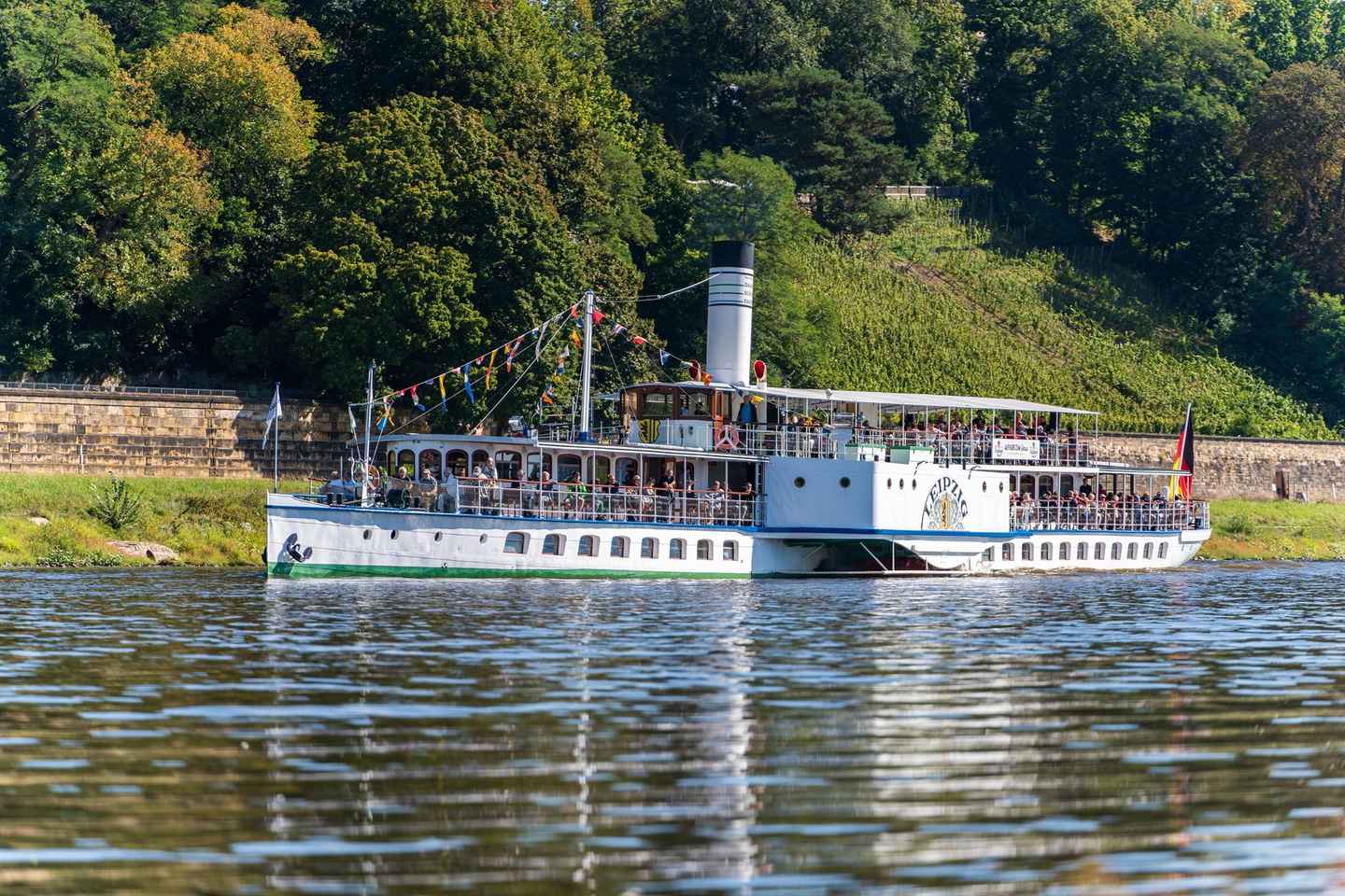 Dresden: River Sightseeing Boat Cruise
