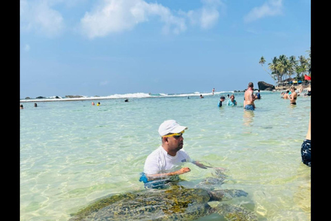 From Colombo: Day trip to Galle Dutch Fort & Turtle Beach