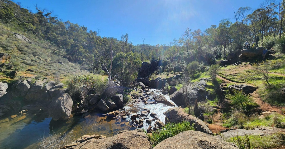 9642 Rising Trail Perth: Numbat Trail Hike i Paruna Wildlife Sanctuary | GetYourGuide