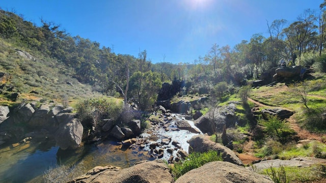 Perth: Numbat Trail Hike at Paruna Wildlife Sanctuary