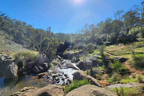 Perth: Numbat Trail Hike at Paruna Wildlife Sanctuary