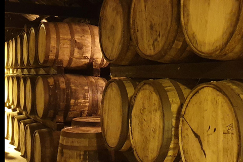 Dublin : Private Sightseeing Tour of Dublin City