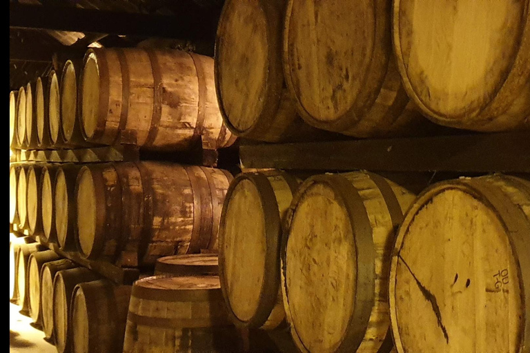 Dublin : Private Sightseeing Tour of Dublin City