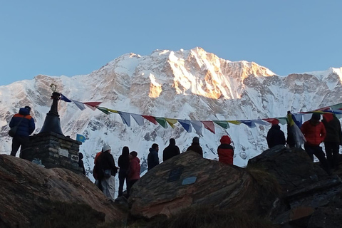 Pokhara: 7-Day Annapurna Base Camp Express Trek