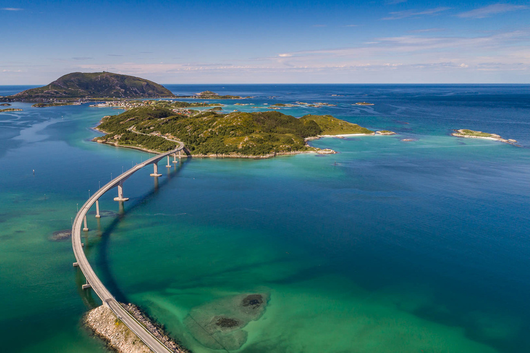 Da Tromsø: Tour panoramico dei fiordi e della fauna artica in auto