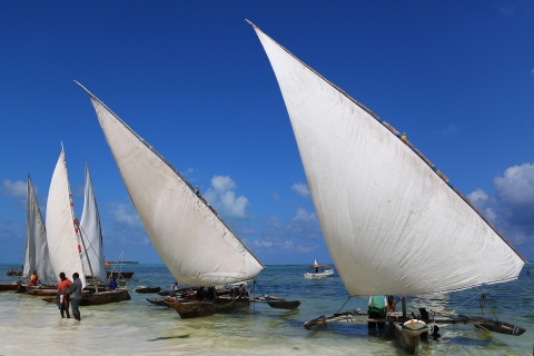 Z Zanzibaru: 8-dniowe safari w Tanzanii i wakacje na Zanzibarze