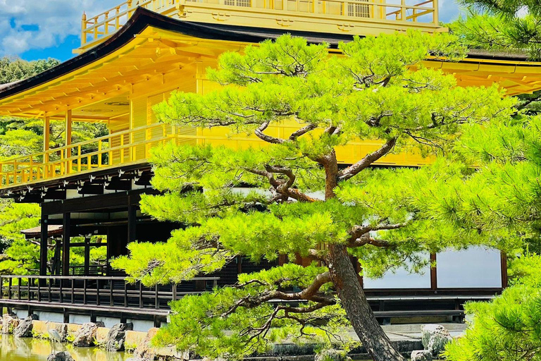 Osaka/Kyoto/Nara: Privat skräddarsydd rundtur på engelskaOsaka/Kyoto/Nara: Privat anpassad rundtur på engelska