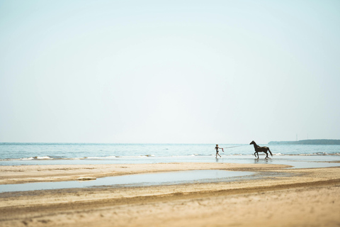 Mezraia: Horseback Ride with Photo Shoot Experience