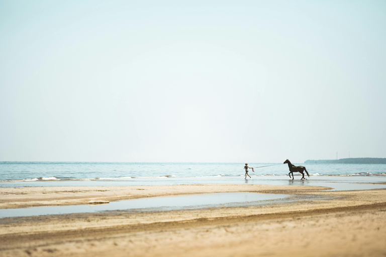 Mezraia: Horseback Ride with Photo Shoot Experience
