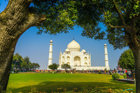 Visita al Taj Mahal, Fuerte de Agra y Conservación de Elefantes desde DelhiCoche privado con aire acondicionado, conductor y guía, regreso a Jaipur