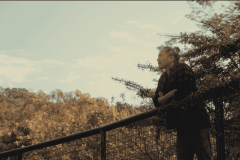 Hong Kong Eco-tourism: Guided Forest Bathing Experience Private Forest Therapy Session