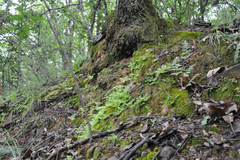 Senderismo en el parque Nacional Benito Juárez