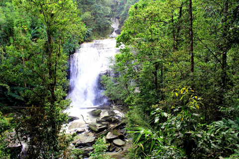 Chiang Mai : Doi Inthanon, chutes d'eau et villages tribaux