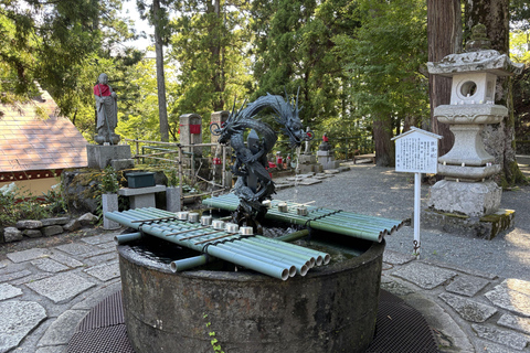 Osaka/Kyoto: Amanohashidate, Ine Bay & Nariaiji Temple Tour From Osaka Meeting Point