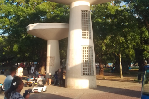 Mombasa: Private City Tour with street food and Haller Park