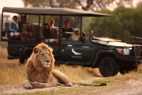 Victoria Falls: Game Drive