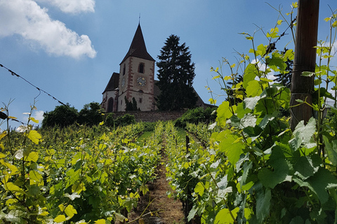 Tour de degustação de vinhos da Alsácia