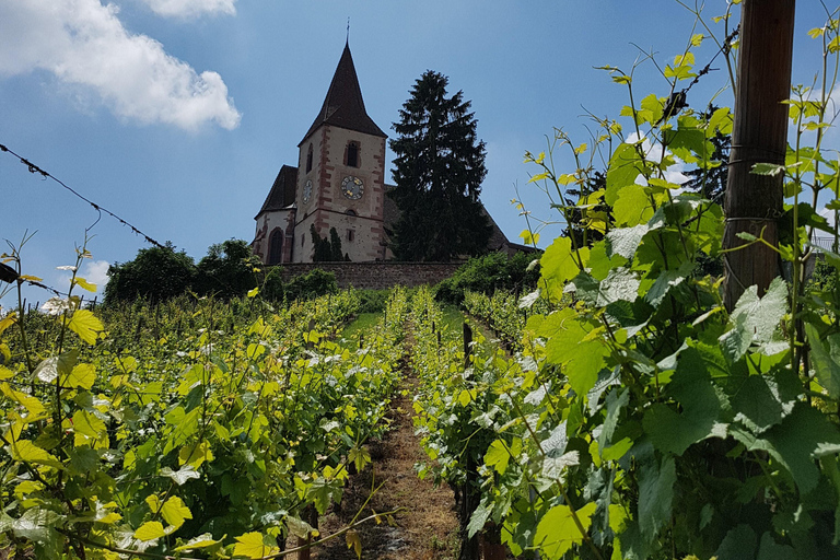 Circuit de dégustation des vins d&#039;Alsace